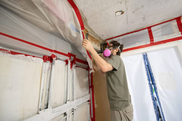 Best Crawl Space Mold Remediation  in Inez, TX