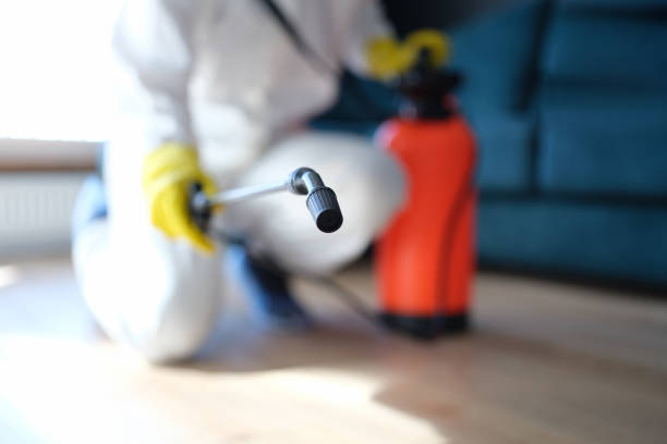 Best Dehumidification Services  in Inez, TX